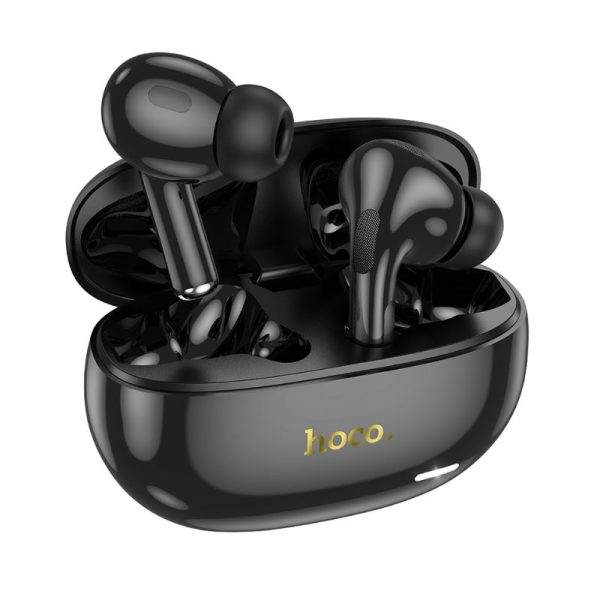 Hoco EW60 Plus ANC Earbuds